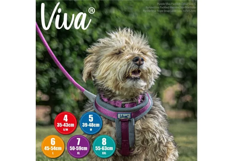 Ancol - Viva Nylon Padded Buckle Collar - Black - Size 7 (55-65cm)