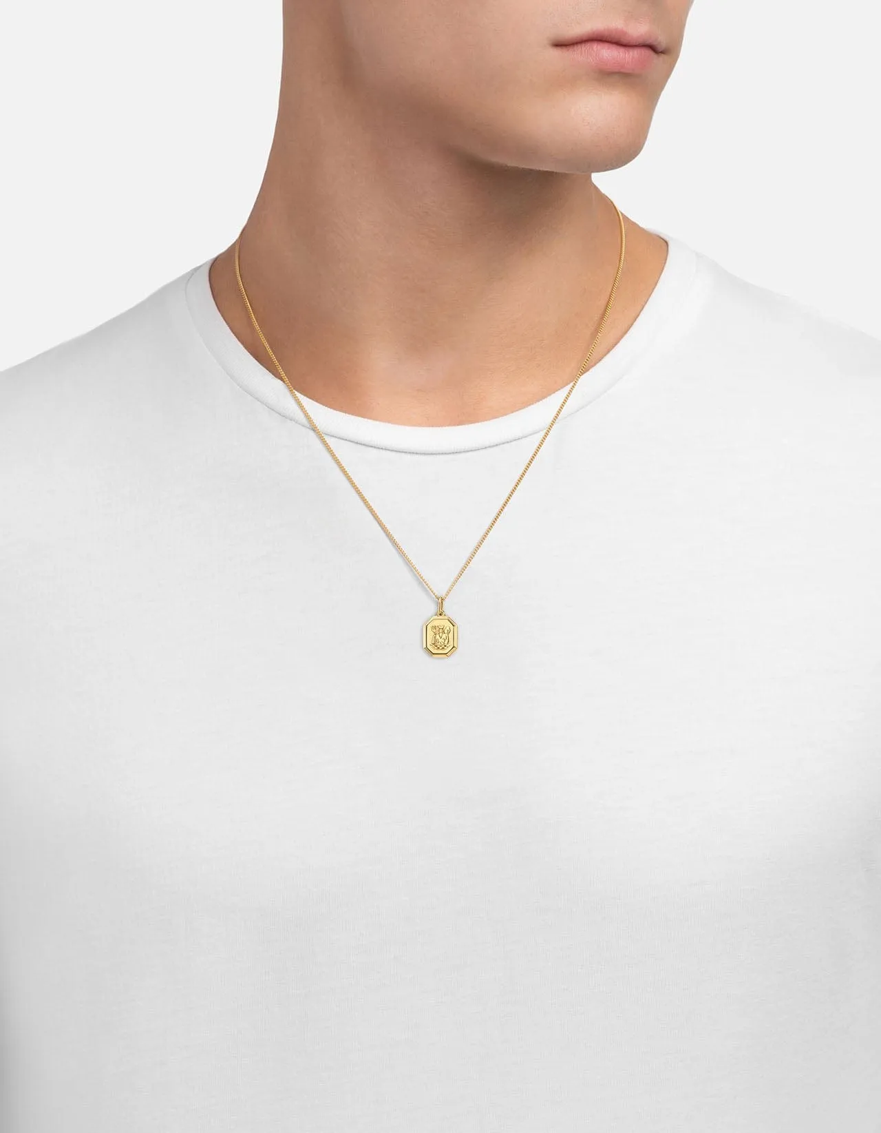 Aquarius Nyle Necklace, Gold Vermeil